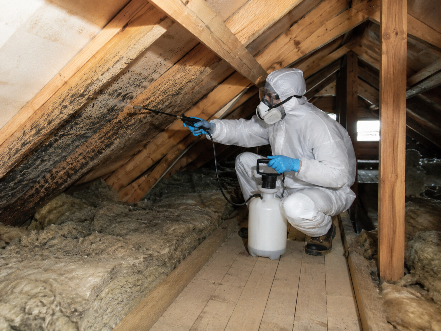 Mould Treatment in Swindon